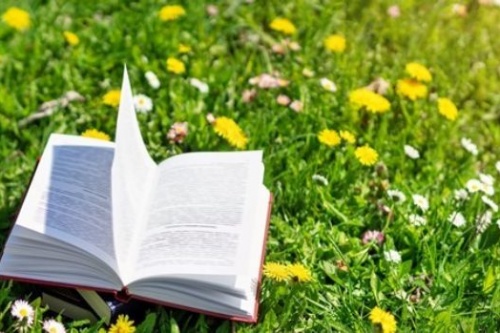 April 2021 Newsletter